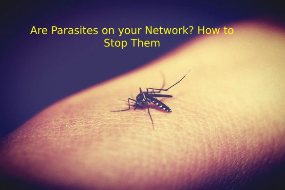 Are Parasites on your Network_ How to Stop Them