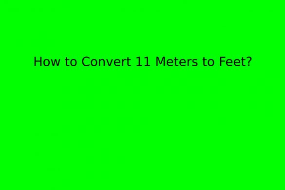 Convert 11 Meters to Feet