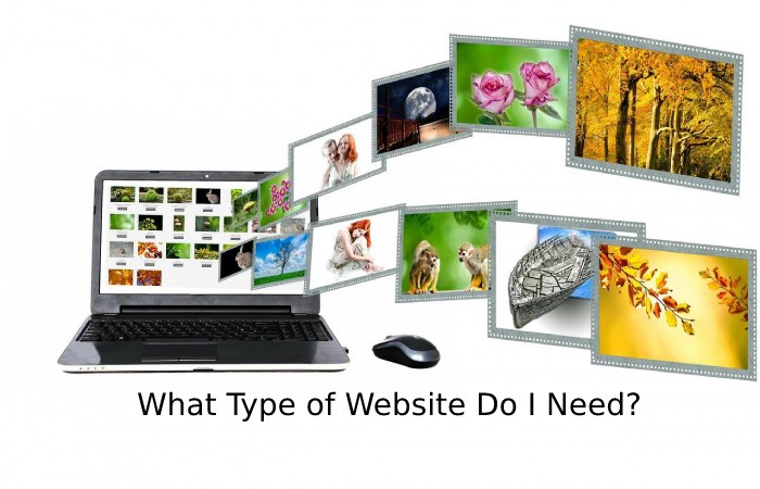 What Type of Website Do I Need_