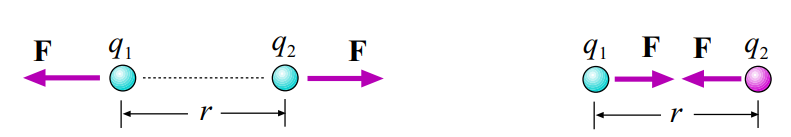 Two Particles with Equal Charges (X and Y) - 7