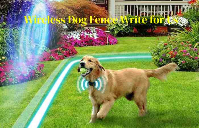 wireless dog fence write for us