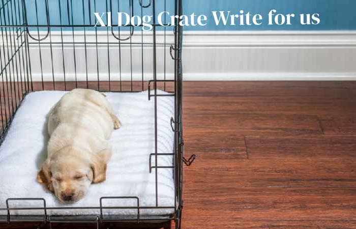 Xl Dog Crate Write for Us