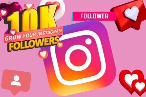 IG Followers Net